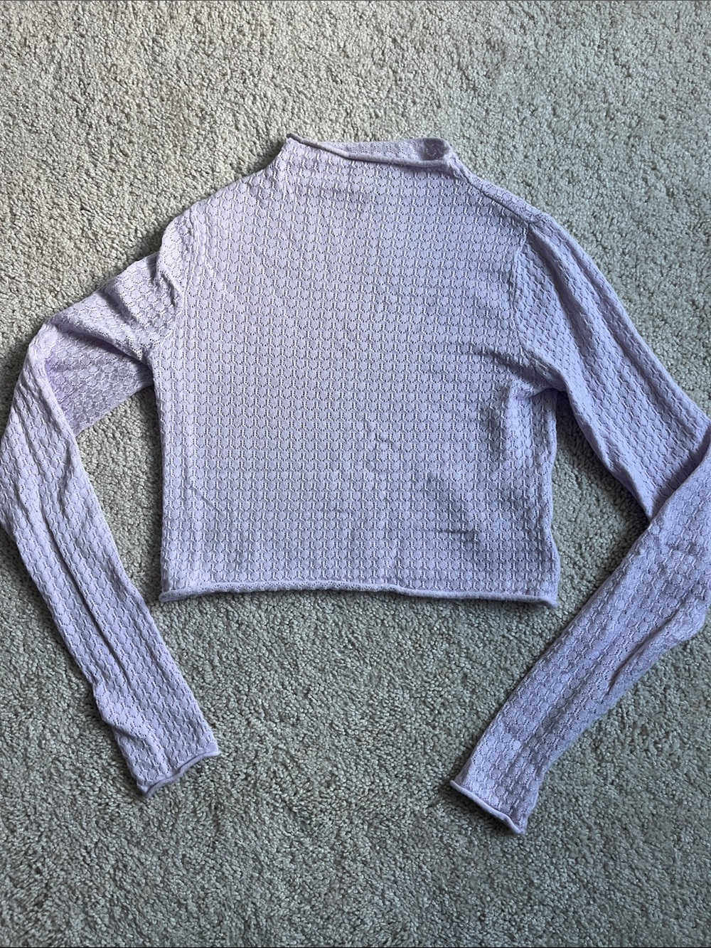 wild fable Lilac Textured Long-Sleeve Crop Top